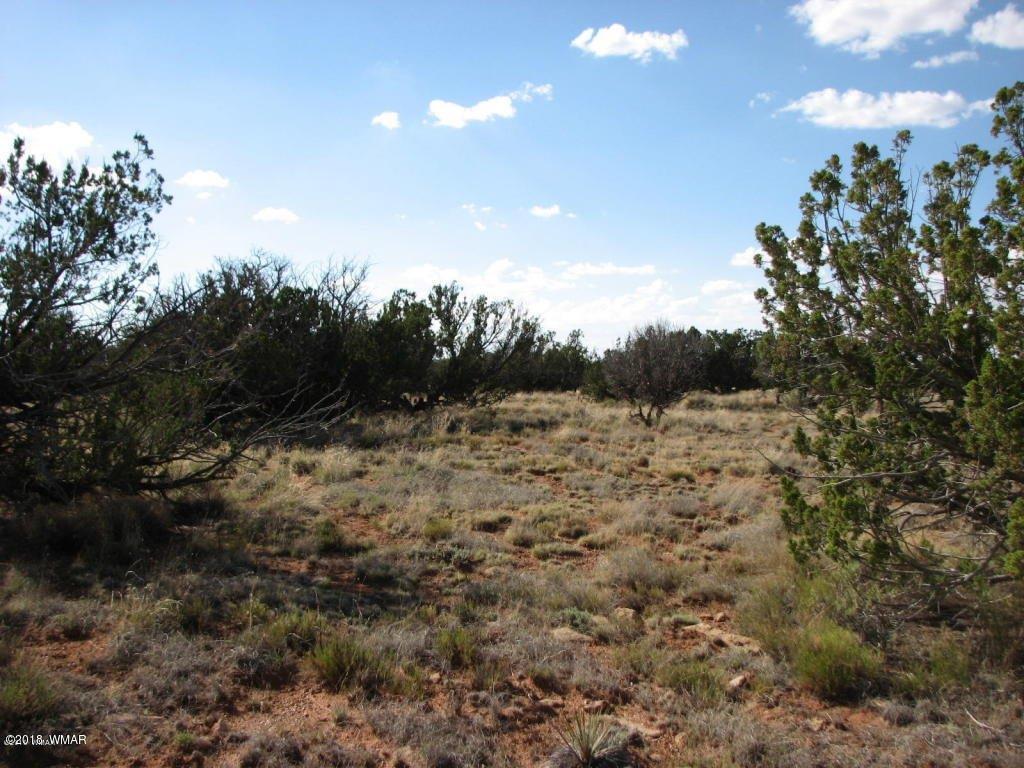Lot 280 Chevelon Canyon Ranch Overgaard, AZ 85933 - Photo 4 of 8
