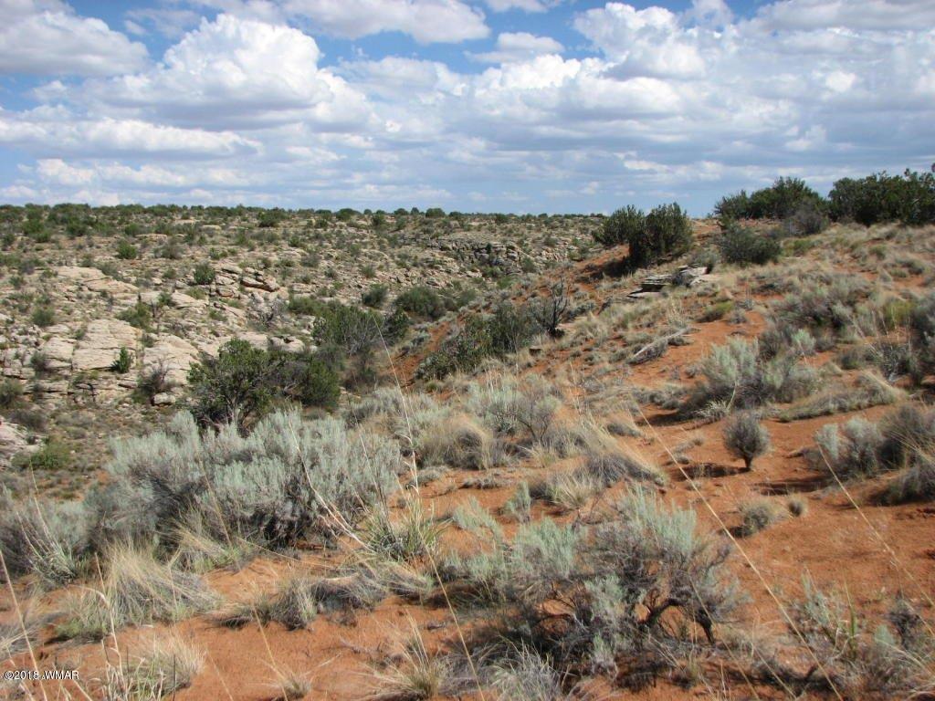 Lot 280 Chevelon Canyon Ranch Overgaard, AZ 85933 - Photo 5 of 8