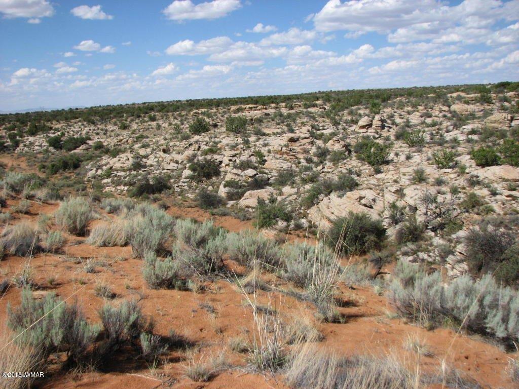 Lot 280 Chevelon Canyon Ranch Overgaard, AZ 85933 - Photo 6 of 8