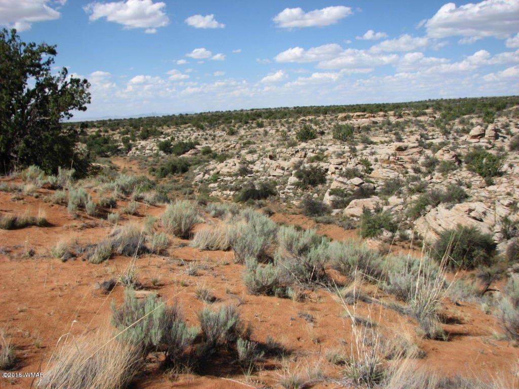 Lot 280 Chevelon Canyon Ranch Overgaard, AZ 85933 - Photo 7 of 8