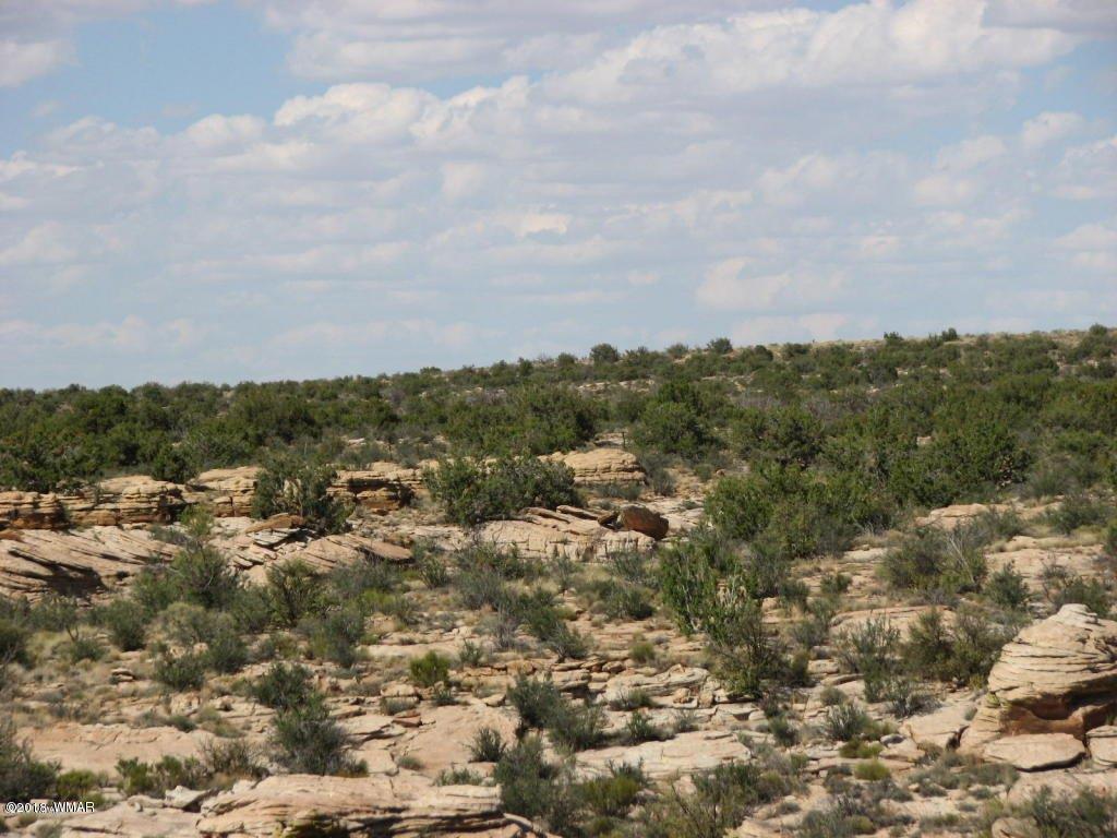 Lot 280 Chevelon Canyon Ranch Overgaard, AZ 85933 - Photo 8 of 8