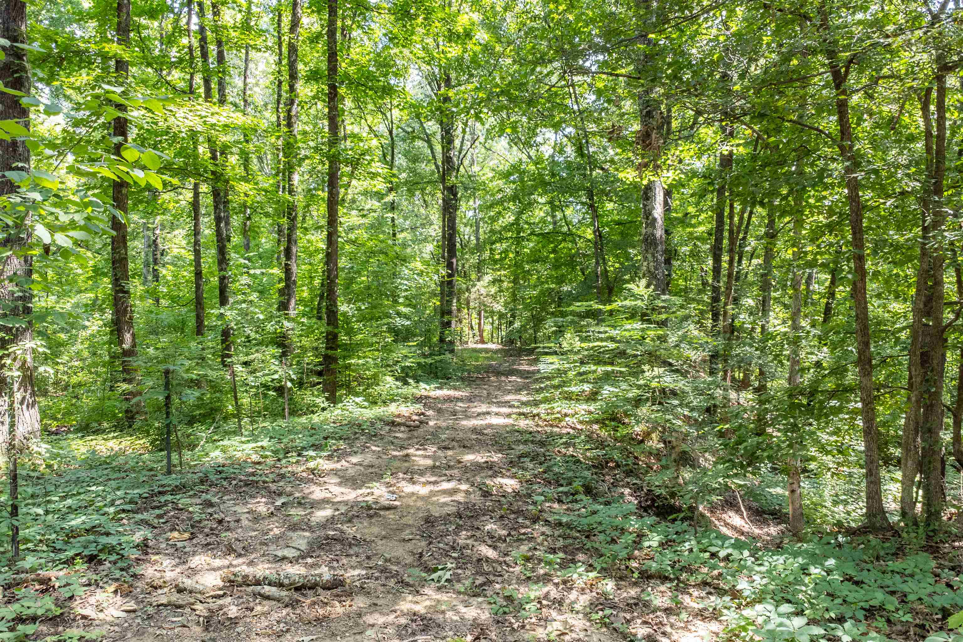 2665 McCraw Loop Mason, TN 38049 - Photo 7 of 34
