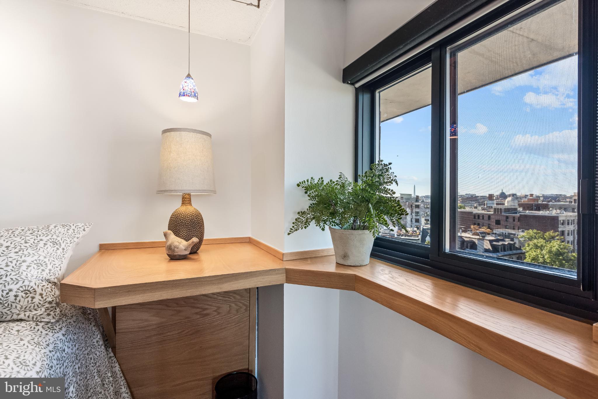 1816 New Hampshire Avenue Northwest, Unit 1009 Washington, DC 20009 - Photo 18 of 23 a potted plant sitting on top of a window sill and a wooden floor