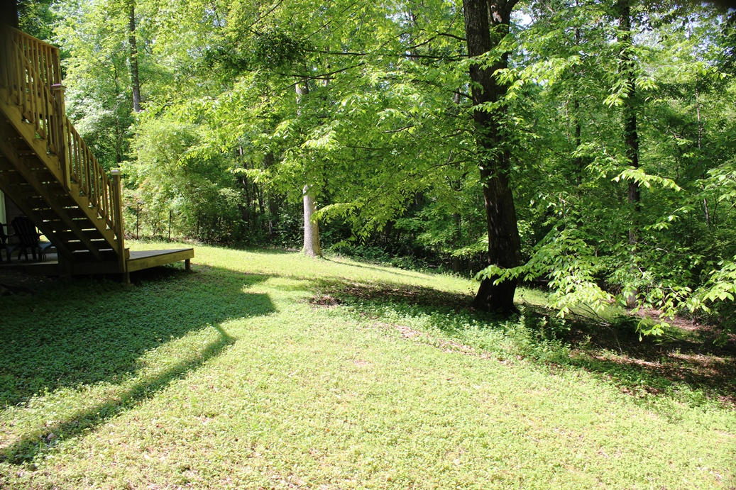 101 CCC Camp Road Norris, TN 37828 - Photo 14 of 17 Rear Lawn