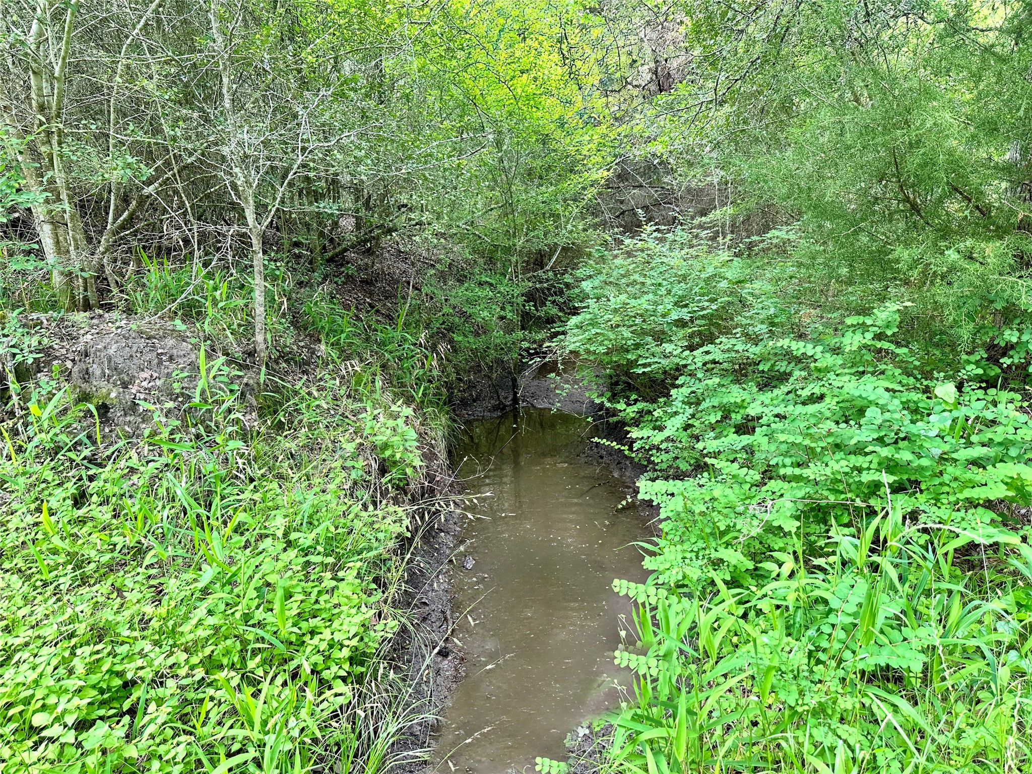 0 Quarry Road Brenham, TX 77833 - Photo 11 of 15