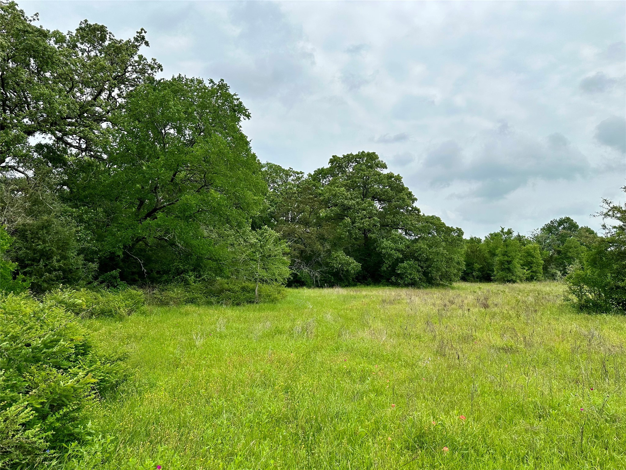 0 Quarry Road Brenham, TX 77833 - Photo 15 of 15