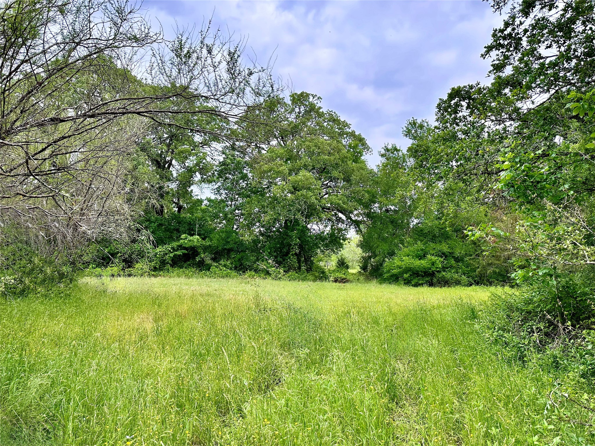 0 Quarry Road Brenham, TX 77833 - Photo 3 of 15