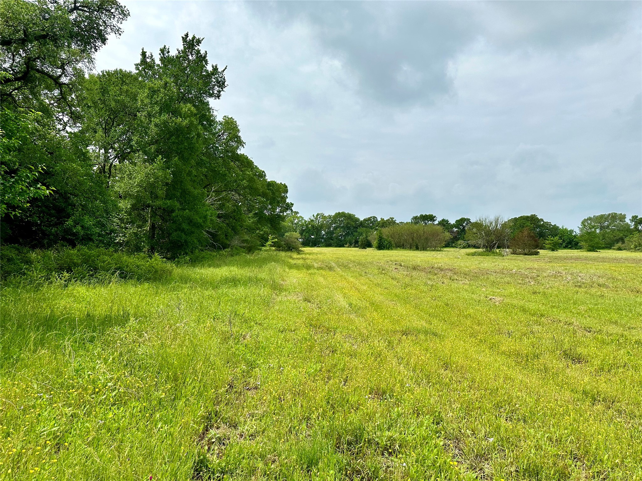 0 Quarry Road Brenham, TX 77833 - Photo 6 of 15