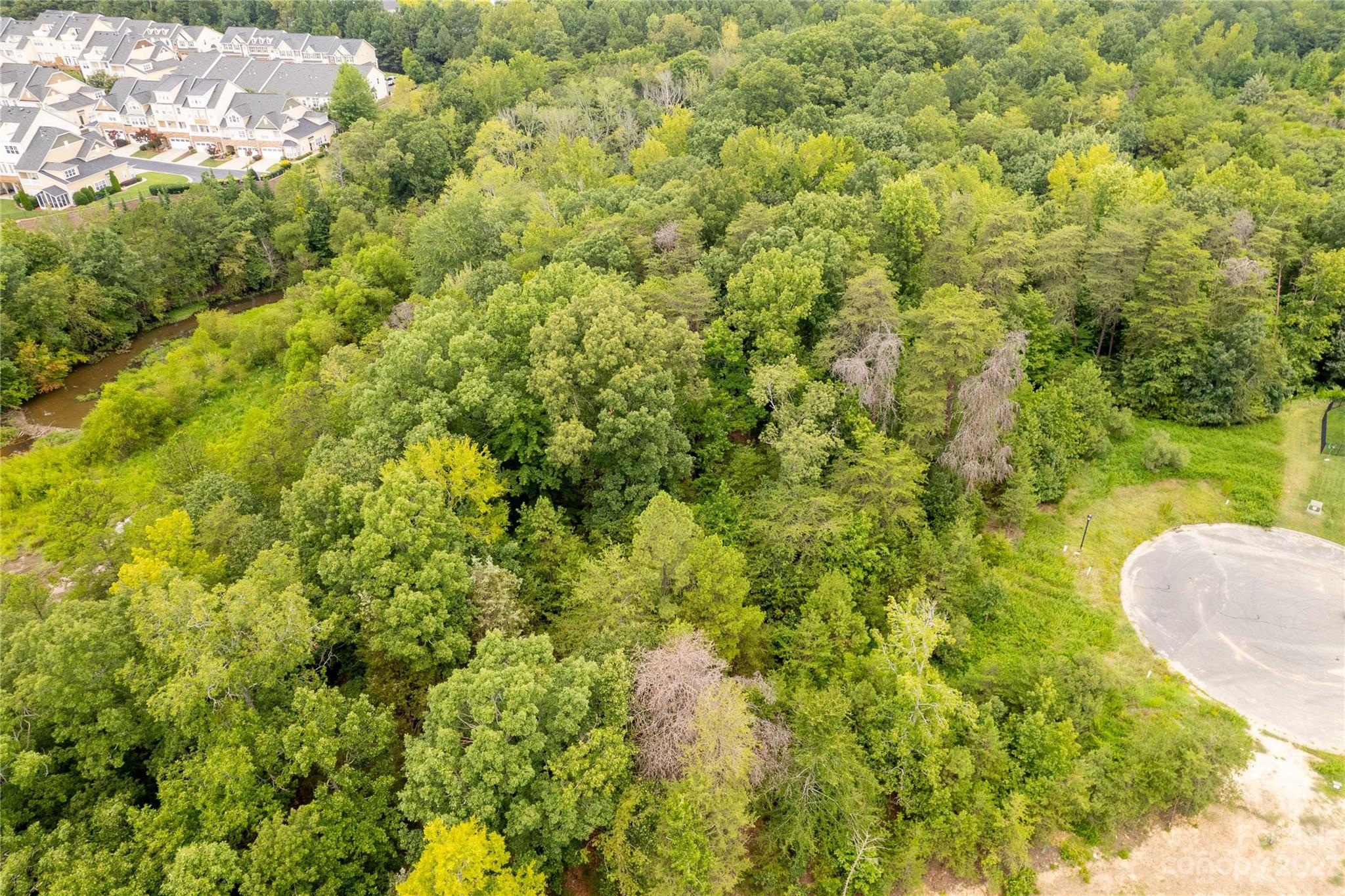686 Reliance Court Tega Cay, SC 29708 - Photo 2 of 20