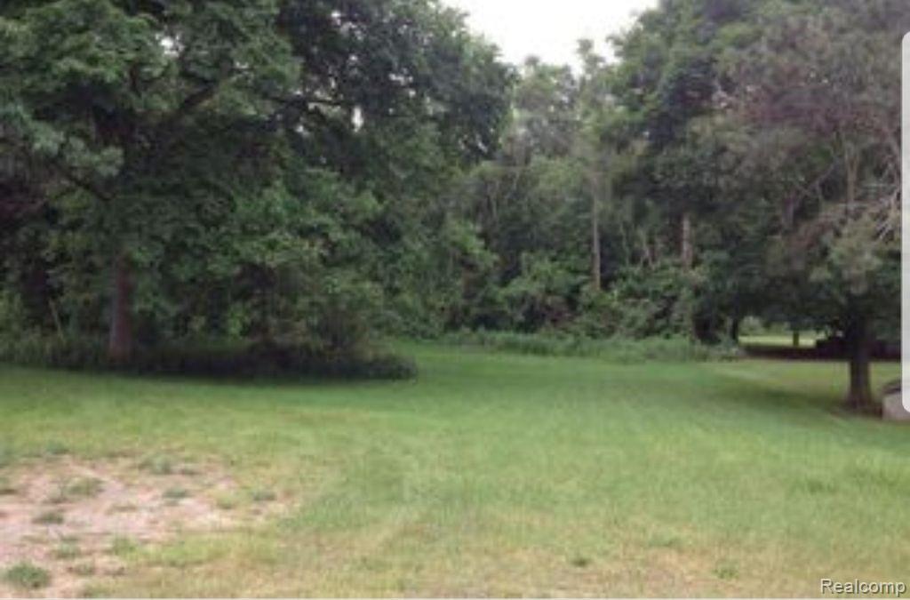 415 East Road Holly, MI 48442 - Photo 4 of 15 Back yard.jpg