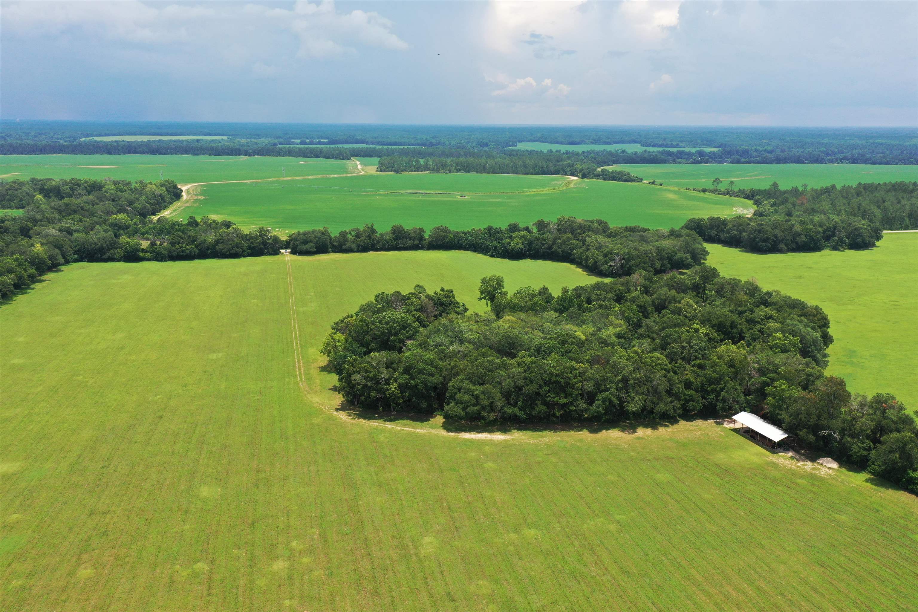 Xx Xx Max Herrin Road Quincy, FL 32352 - Photo 1 of 46