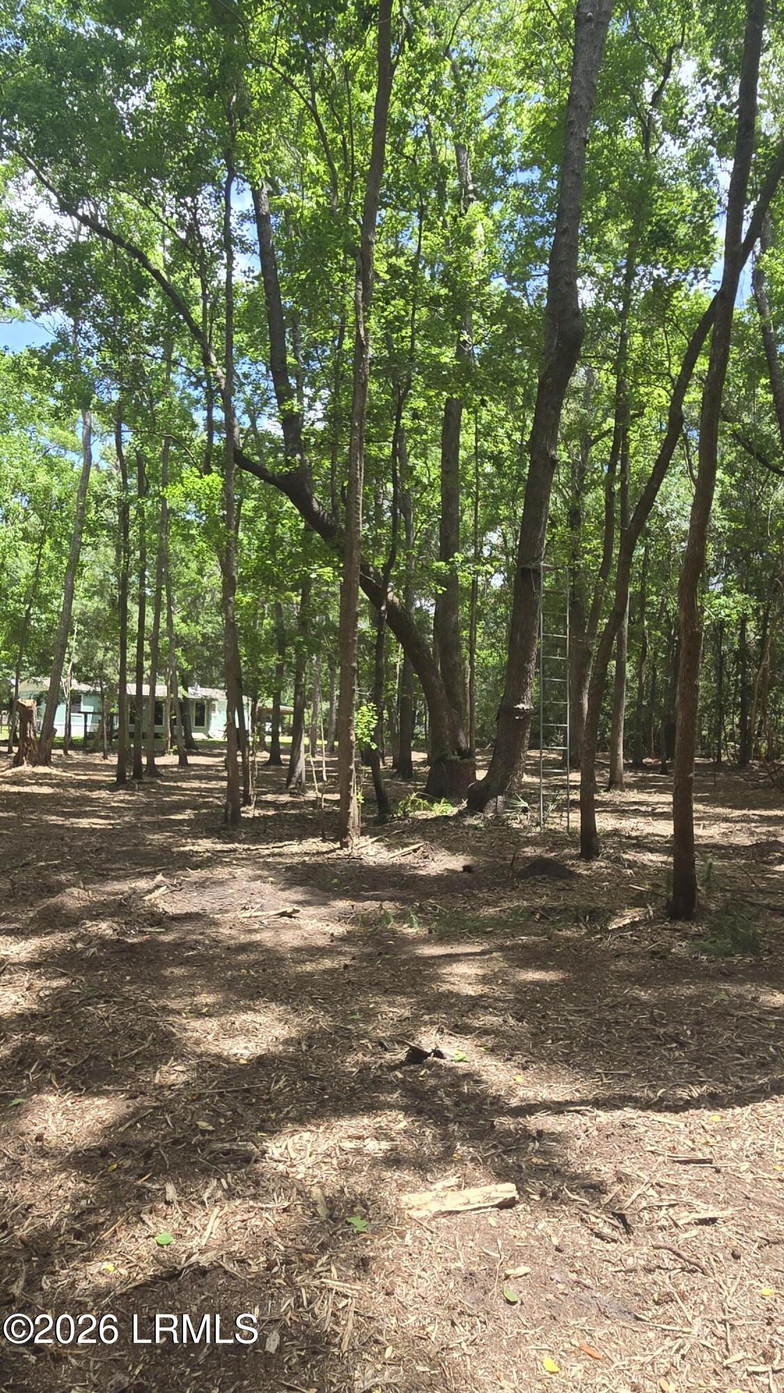 976 Sams Point Road Beaufort, SC 29907 - Photo 60 of 63 20260526_124330