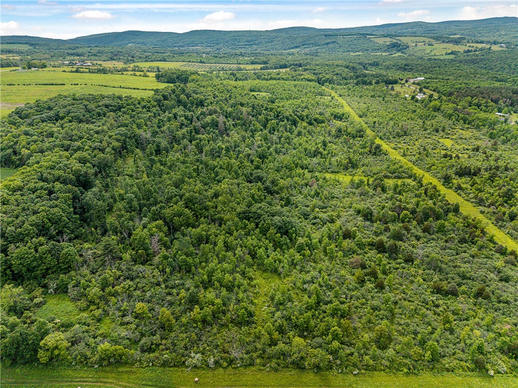 2868 Townsend Road Dix, NY 14891 - Photo 5 of 10