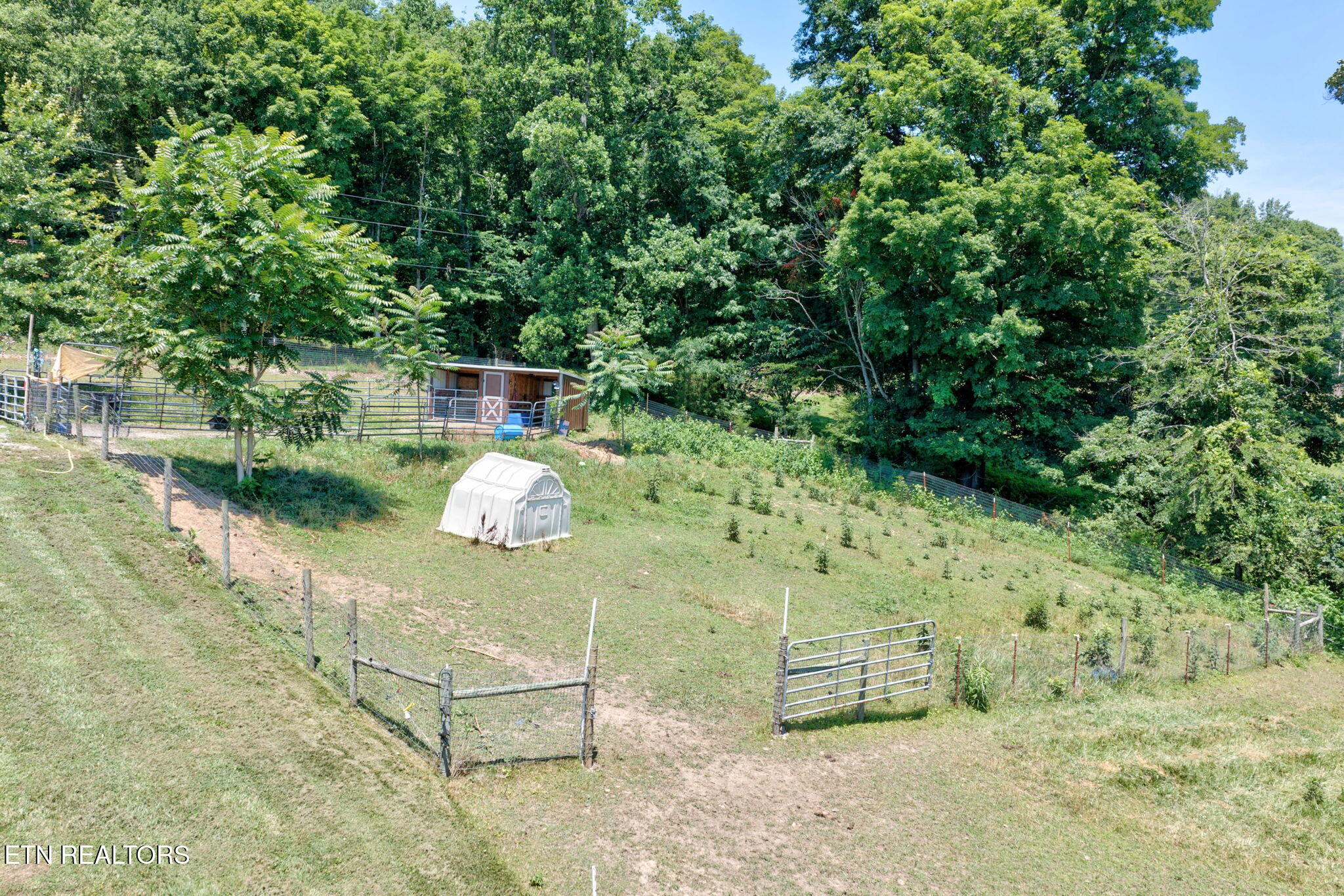 1252 Shellotte Loop Pall Mall, TN 38577 - Photo 25 of 60 29-web-or-mls-1252 Shellotte Loop_143_TN