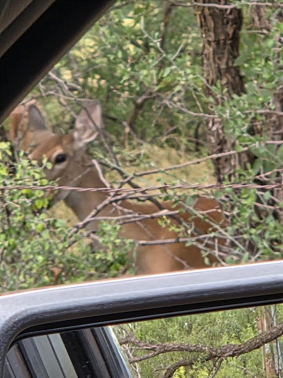 6525 East 180th Anson, TX 75901 - Photo 9 of 24 a view of a window