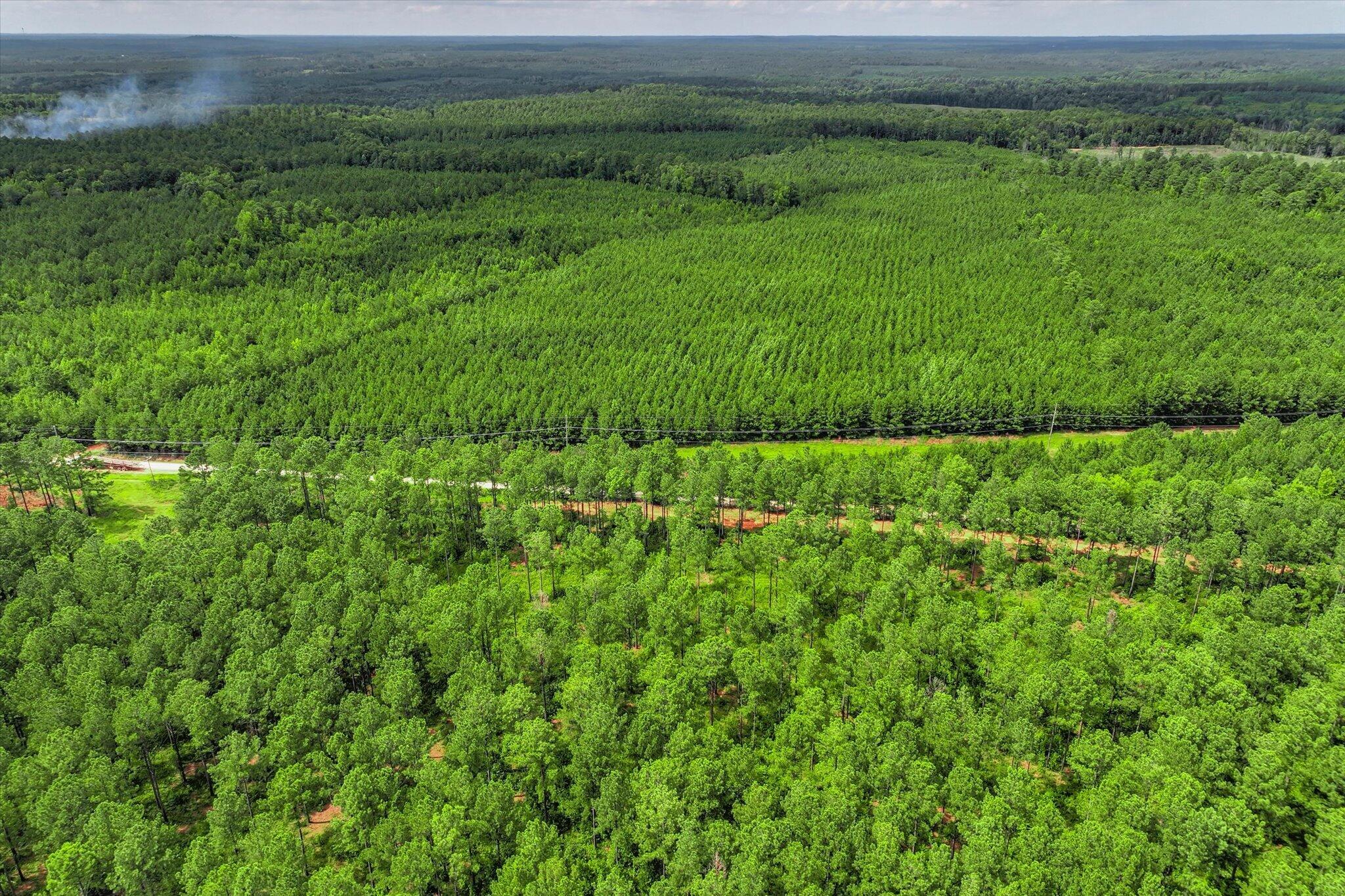 622 Log Creek Road Edgefield, SC 29824 - Photo 10 of 19