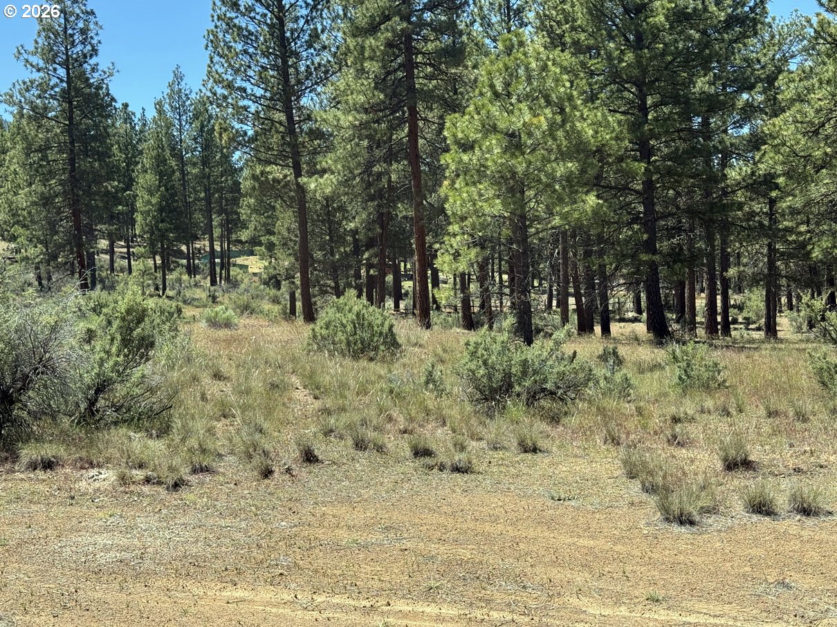 15651 Marcee Way Chiloquin, OR 97624 - Photo 41 of 47