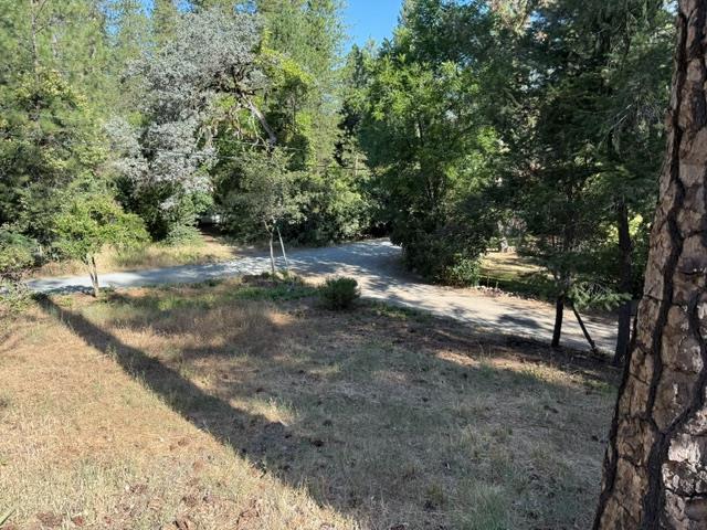 817 Timber Hills Road Colfax, CA 95713 - Photo 10 of 33