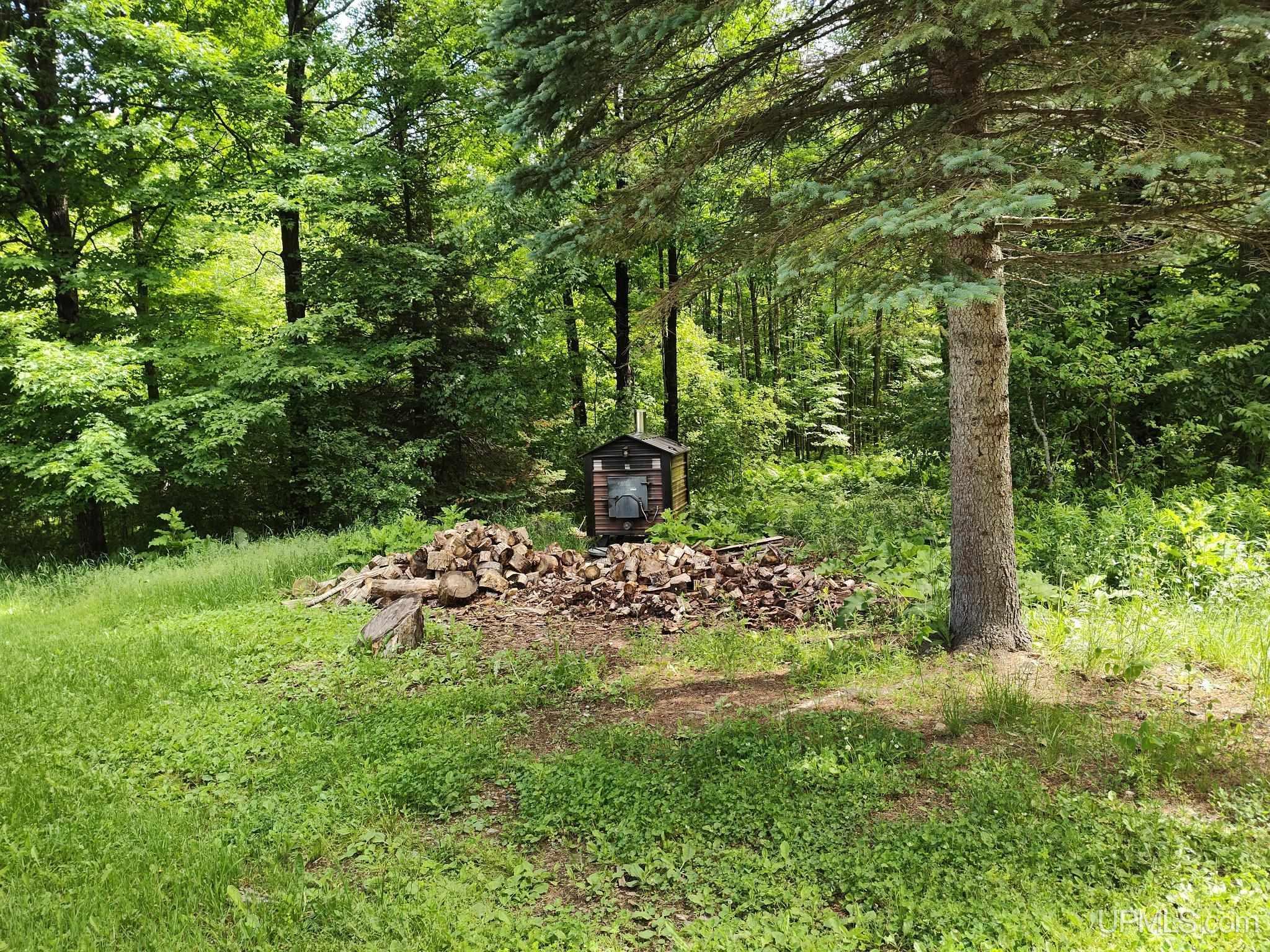 497 Bates-Amasa Road Iron River, MI 49935 - Photo 10 of 40