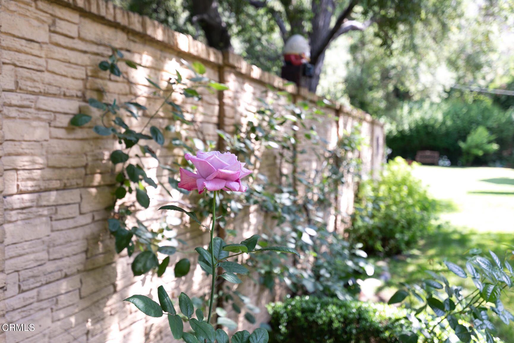 930 Ellington Lane Pasadena, CA 91105 - Photo 64 of 65 144_6B5A1459GSP-RE-JH_930 Ellington,Pasa