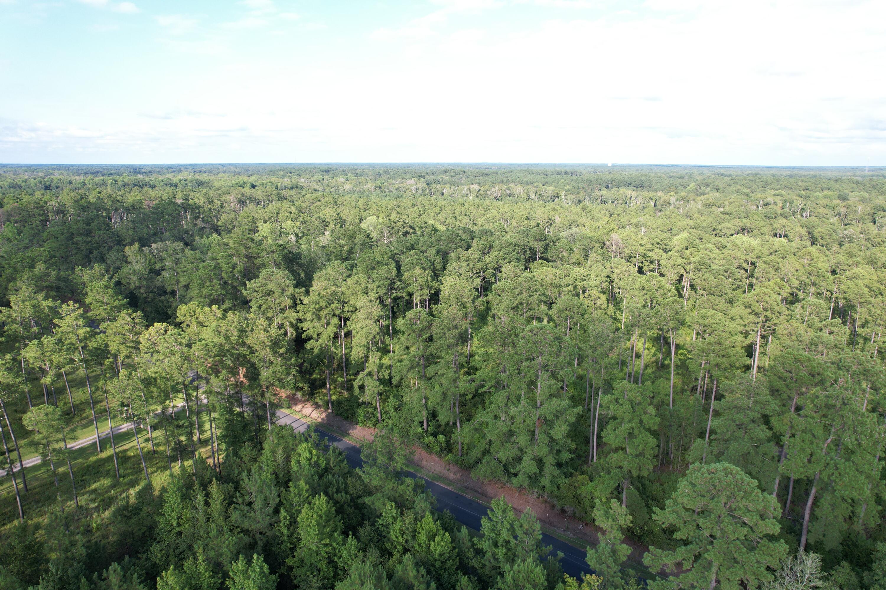1751 Wolfe Creek Road Walterboro, SC 29488 - Photo 41 of 97 DJI_0894