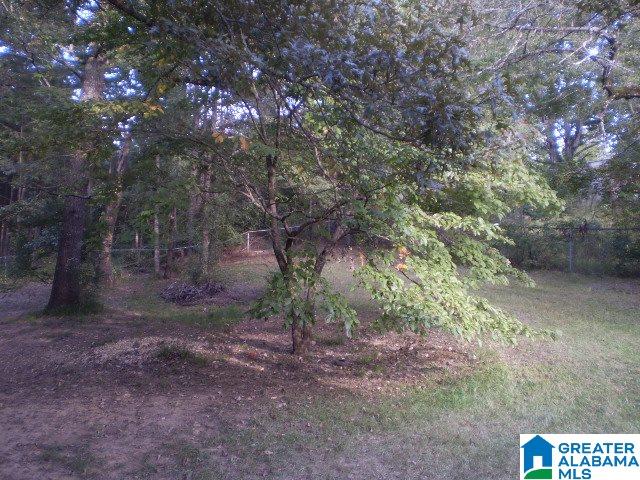 215 Hidden Lane Calera, AL 35040 - Photo 21 of 26