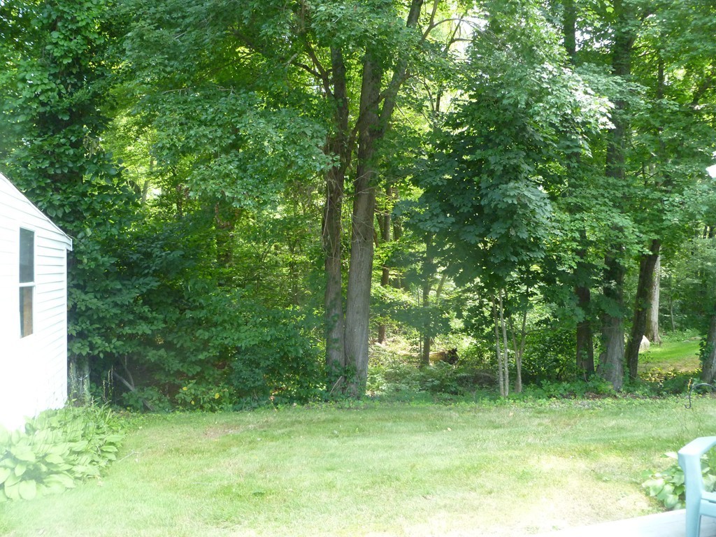 5 Robs Lane Sharon, MA 02067 - Photo 5 of 17 Gallery Image 5