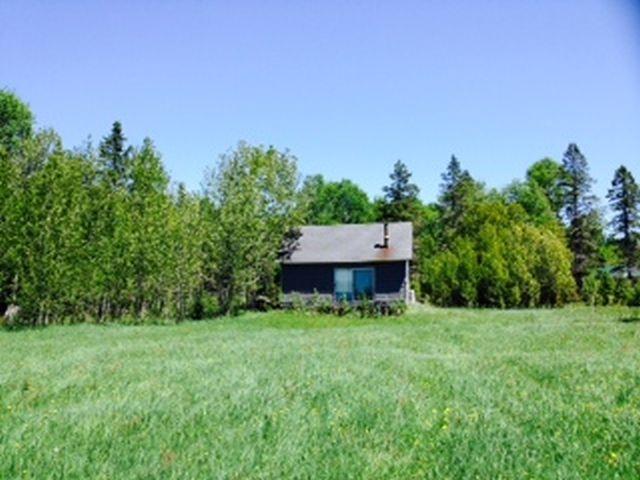 80-acres Taylor Road Pickford, MI 49774 - Photo 1 of 11 Gallery Image 1