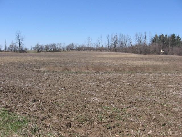 Vl Townsend Applegate, MI 48401 - Photo 23 of 31
