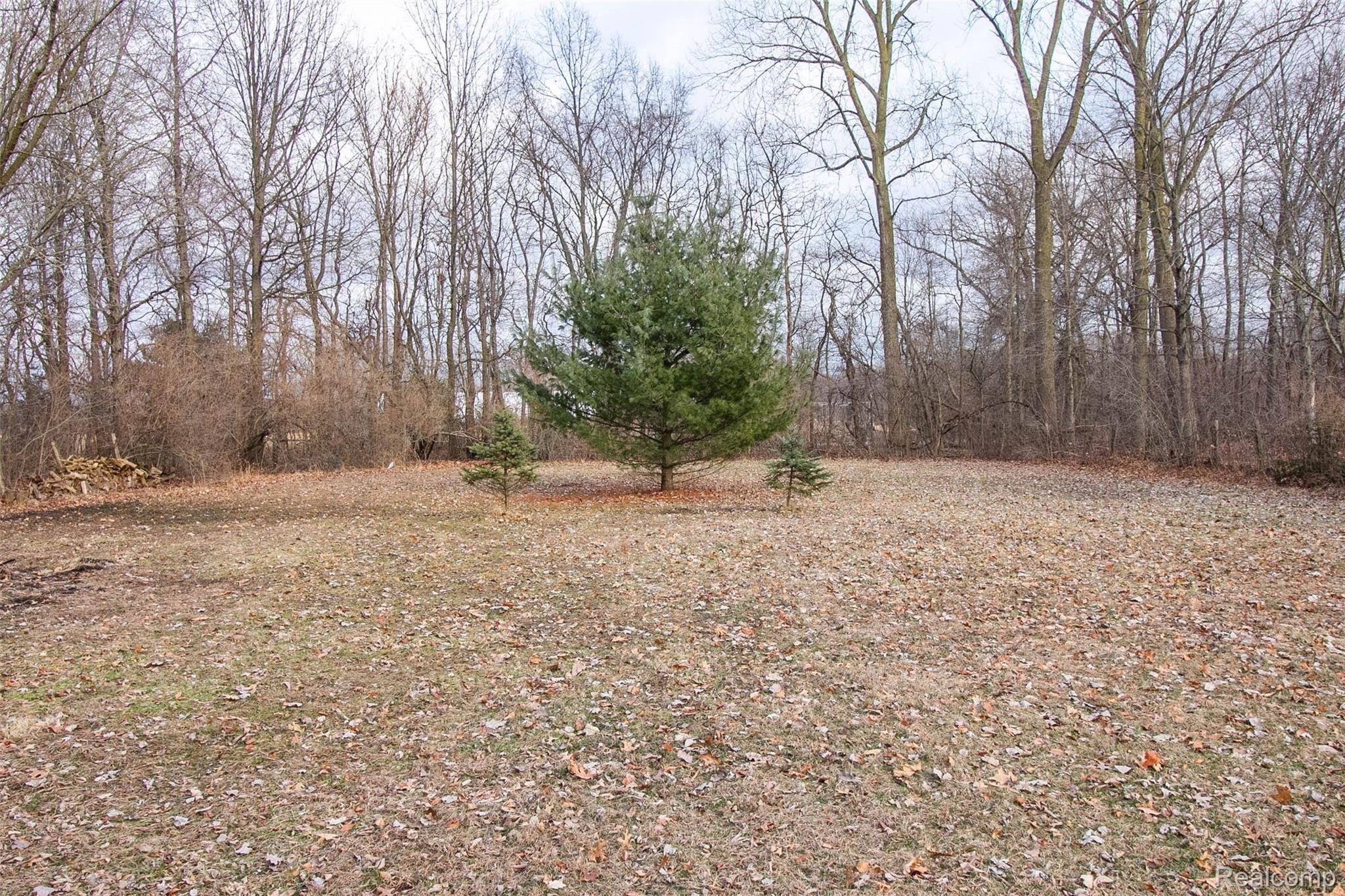 3098 Gruber Road Monroe, MI 48162 - Photo 42 of 54 39.jpg