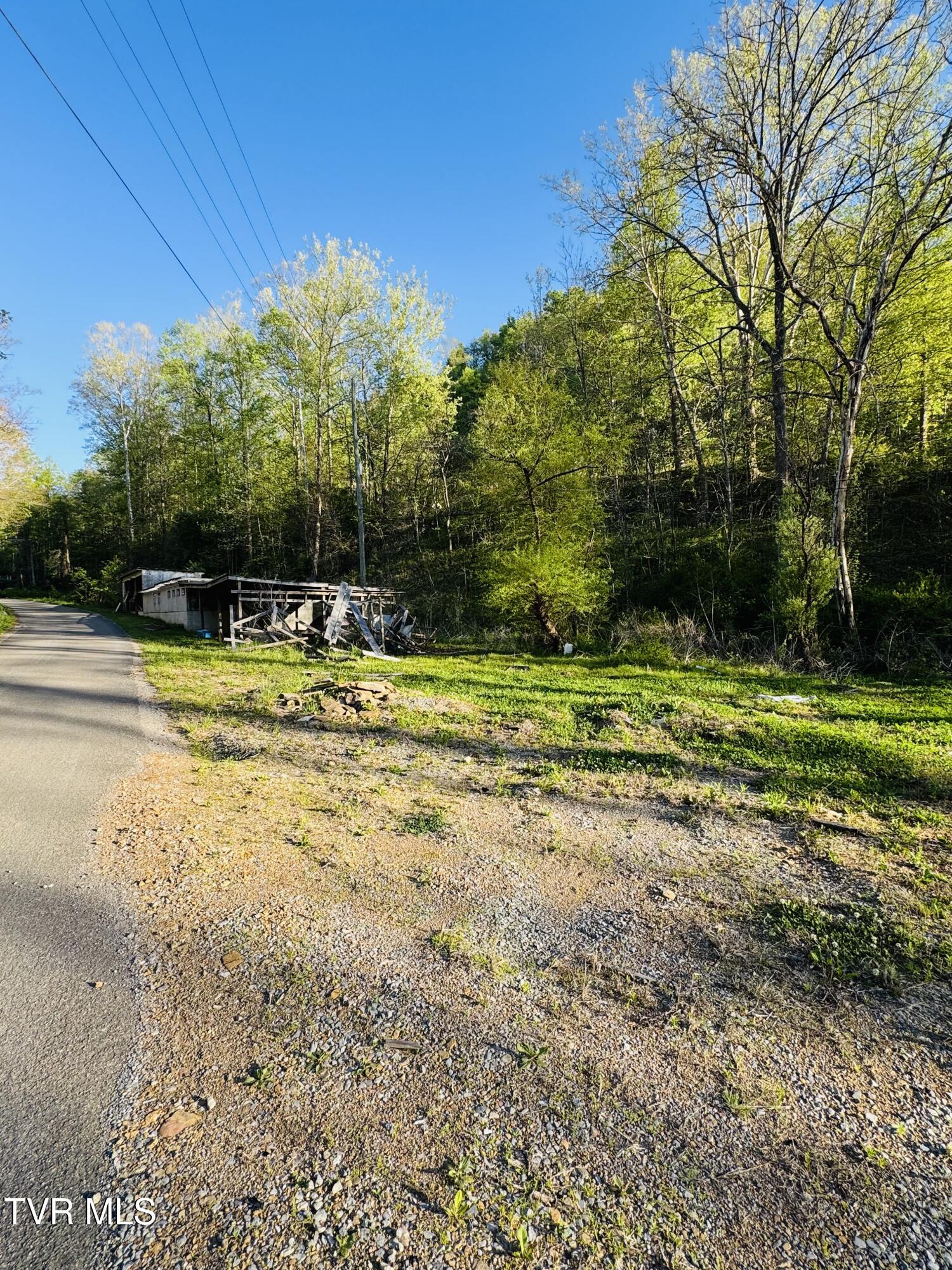 11135 Boggs Hollow Road Pound, VA 24279 - Photo 7 of 11 IMG_3269