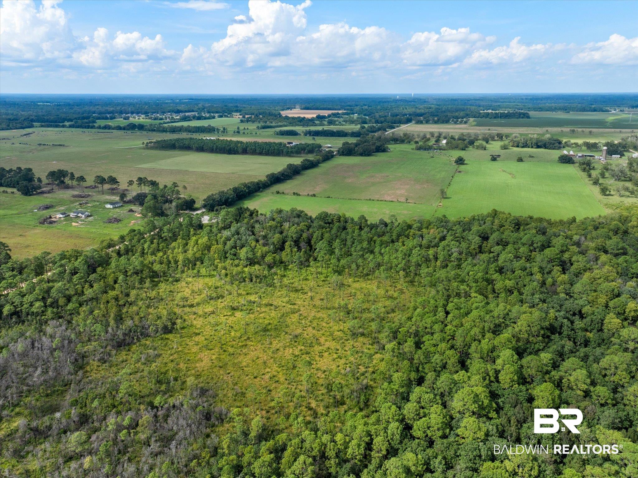 0 Crystal Creek Road Grand Bay, AL 36541 - Photo 14 of 17