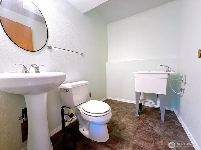 a view of a park with plants and large trees