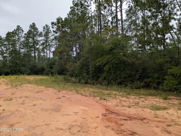 $22,500 | 0 Deshutes Drive, Alford, FL 32420