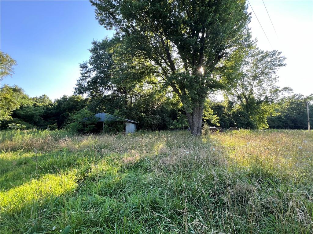 1380 East 1750th Road Jerico Springs, MO 64756 - Photo 12 of 14