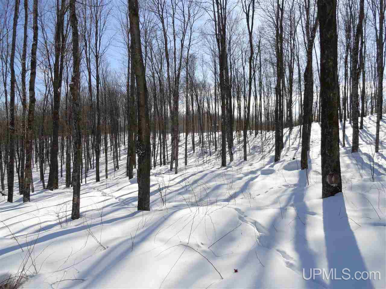 180-acres Lind Road Crystal Falls, MI 49920 - Photo 22 of 33 Gallery Image 22