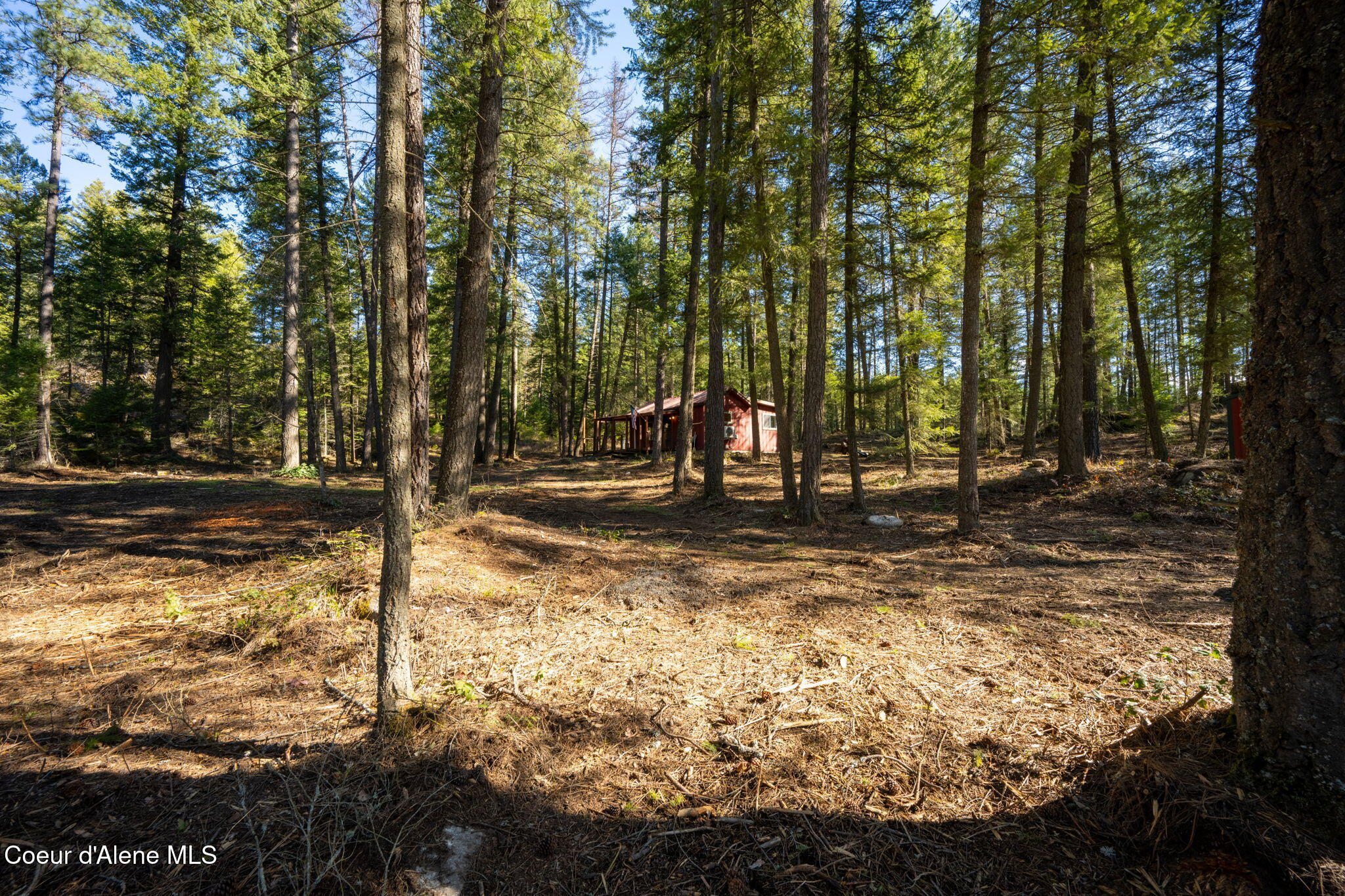 1807 Kelso Lake Road Athol, ID 83801 - Photo 35 of 37 18-web-or-mls-DSC_2530