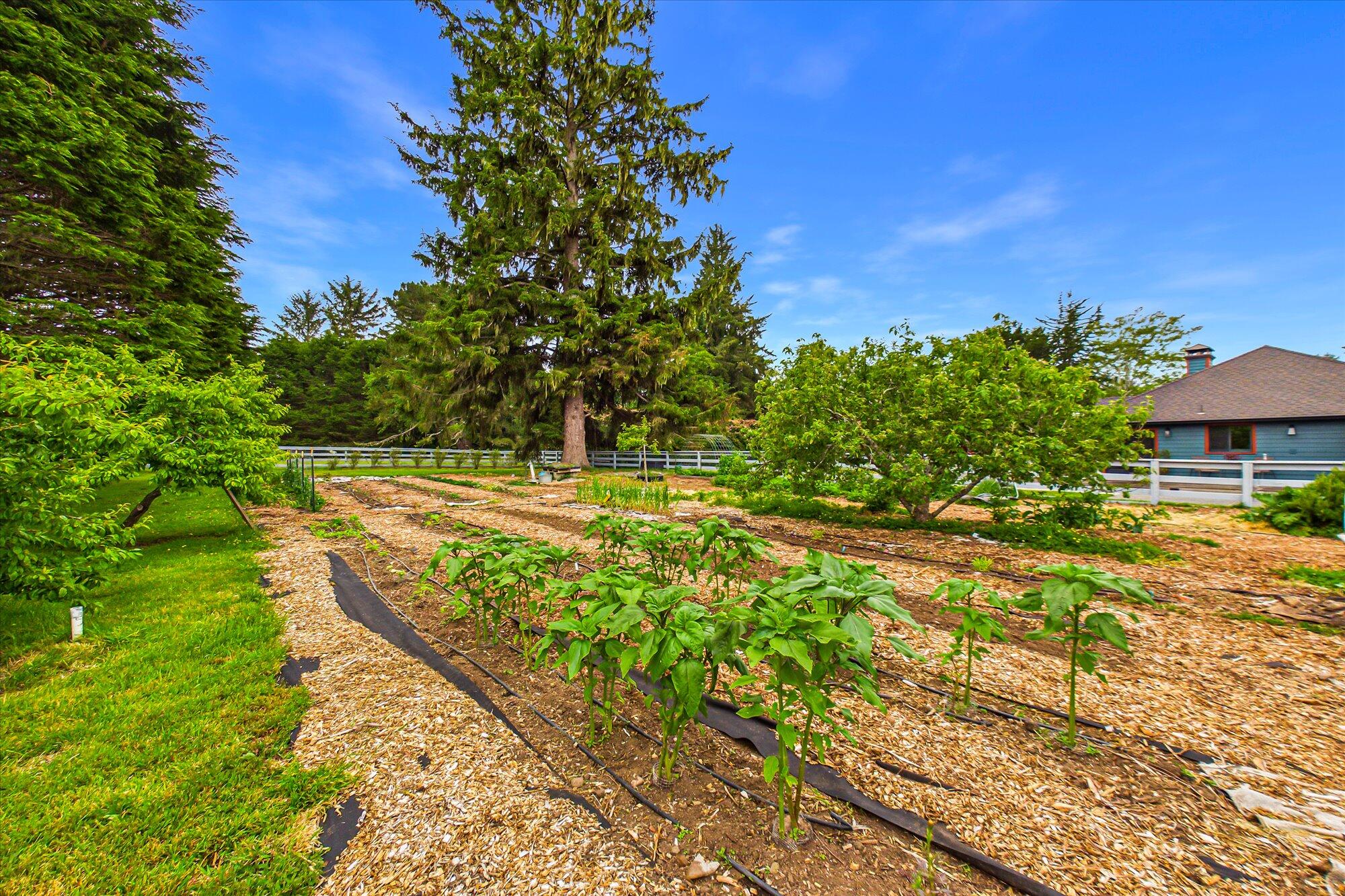1300 Clam Beach Road McKinleyville, CA 95519 - Photo 110 of 116