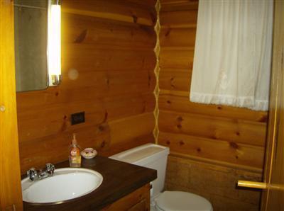 9218 South Ranger Road Baldwin, MI 49304 - Photo 11 of 21 Additional Photo