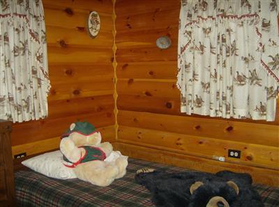 9218 South Ranger Road Baldwin, MI 49304 - Photo 10 of 21 Additional Photo