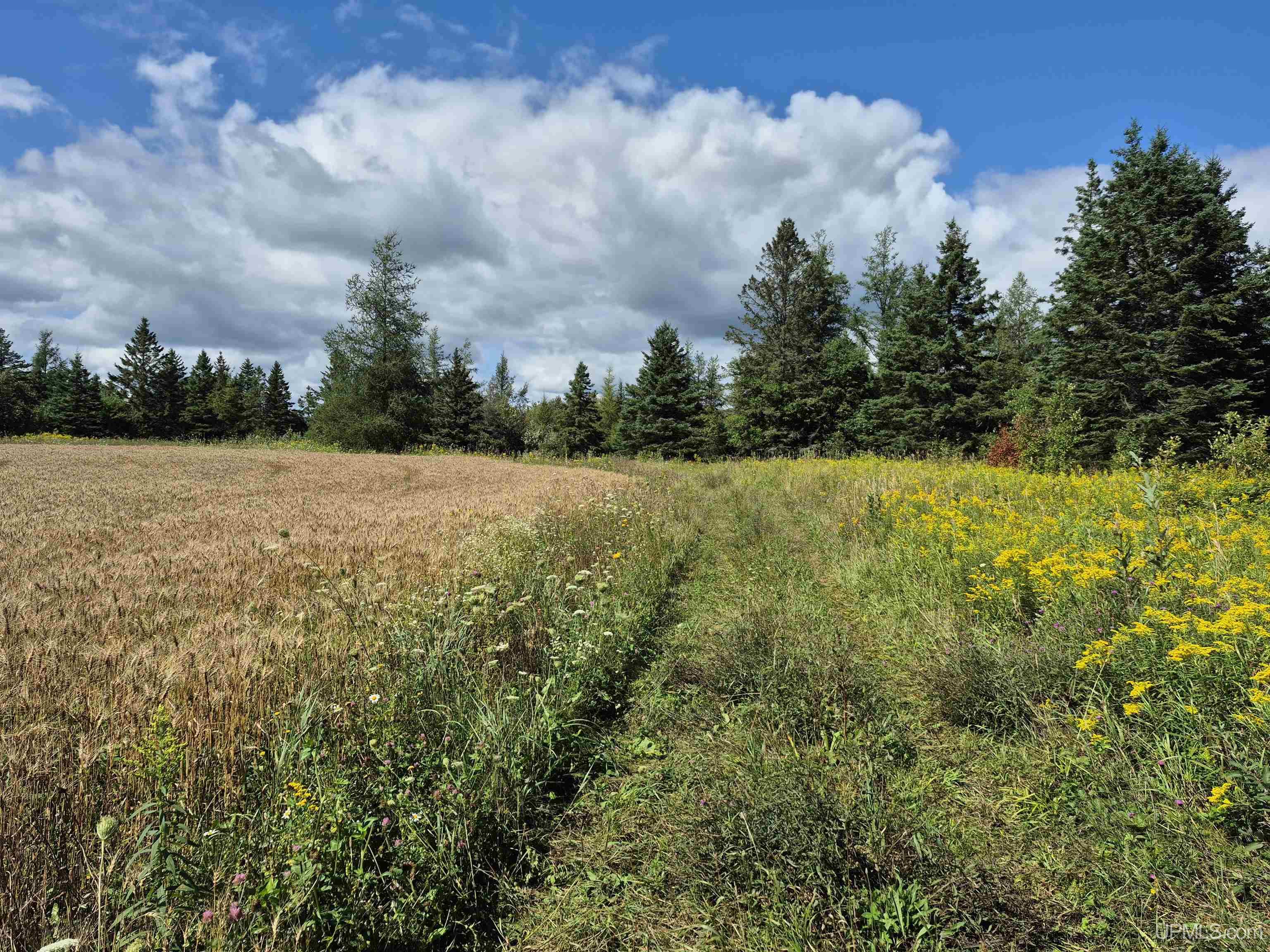 160-acres Halverson Road Gulliver, MI 49840 - Photo 18 of 35
