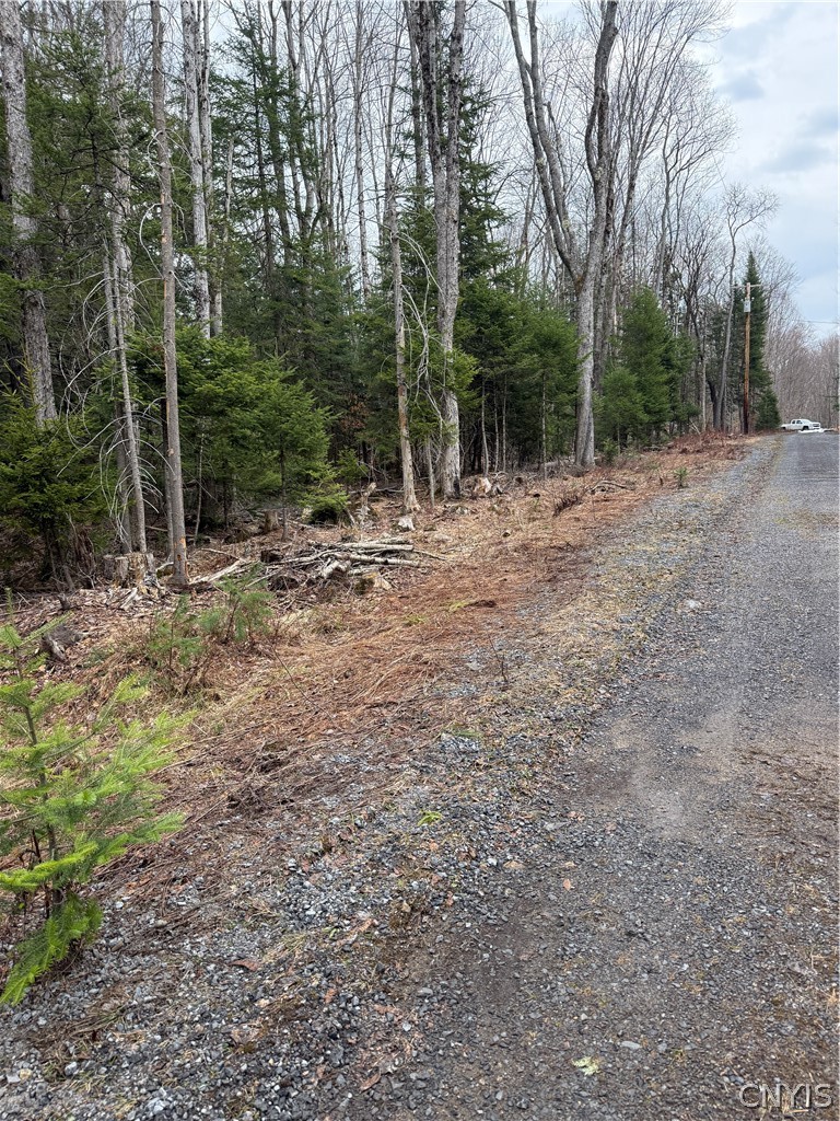 96 West Road Forestport, NY 13338 - Photo 7 of 11