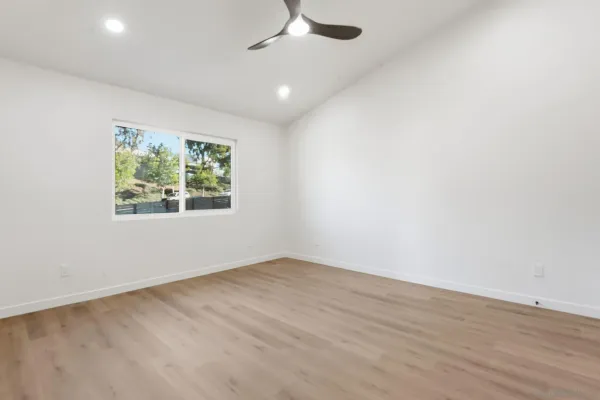 a view of a park with large trees