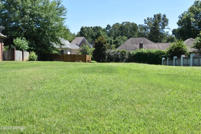 a view of a big yard with plants and a large tree