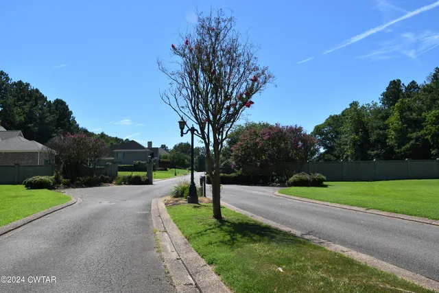a park view with a fountain