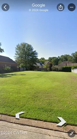 a view of a tree in a yard