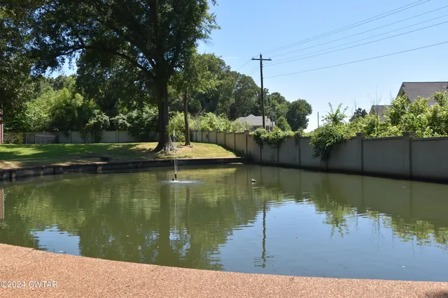 a view of a park with large trees