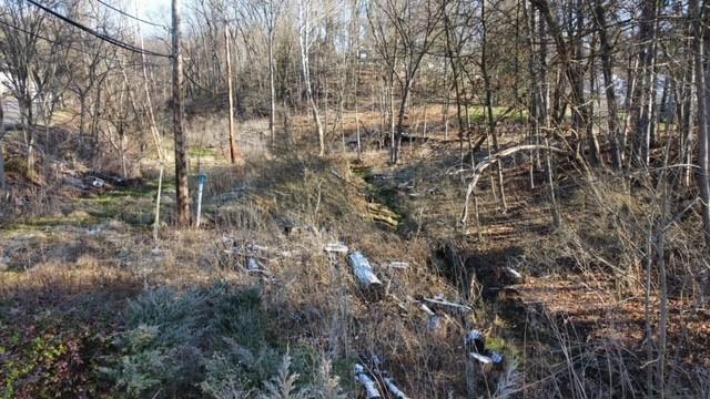 0 Evergreen Road Pittsburgh, PA 15237 - Photo 3 of 16 a view of forest