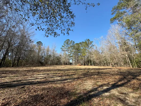 $195,000 | 0 Healing Springs Road, Blackville, SC 29817