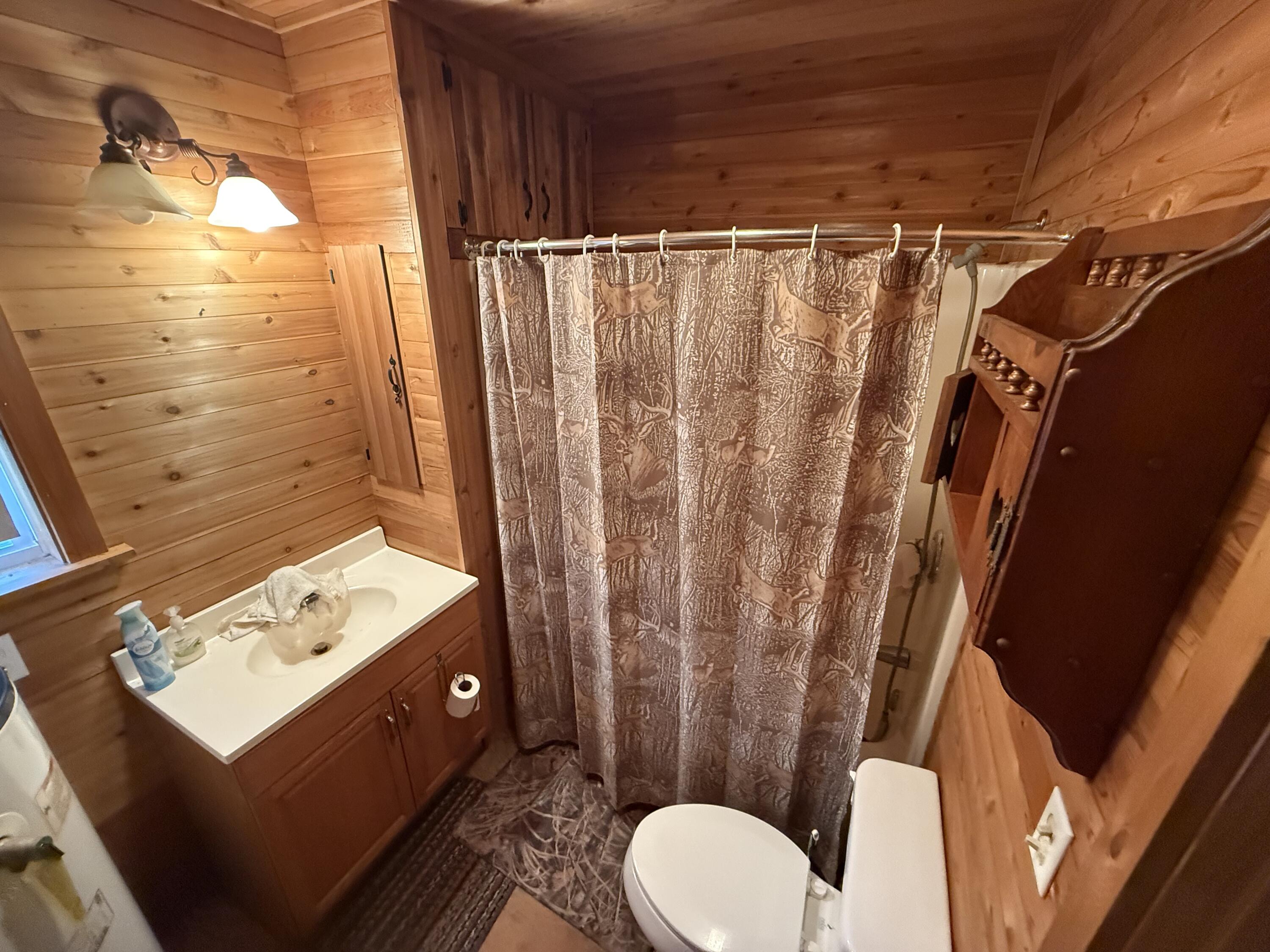 0 Healing Springs Road Blackville, SC 29817 - Photo 11 of 25 IMG_1745